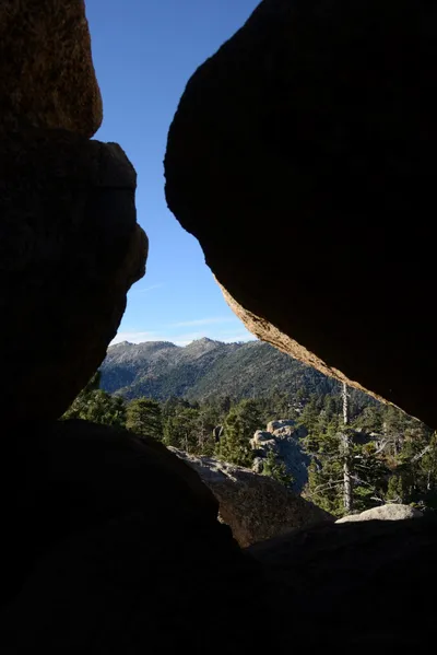 DSC_5171 (Large).JPG